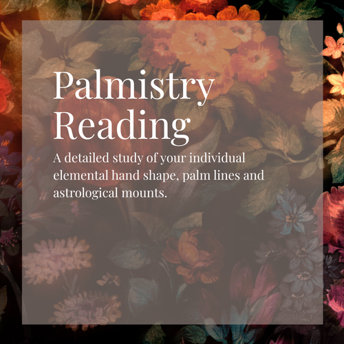 Palmistry Reading