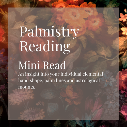 Mini Palmistry Reading.